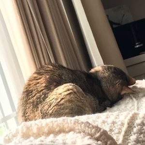 Meet your Posher, Anne